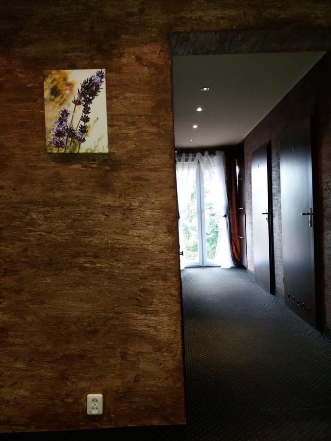 Lawendowy Hostel Krakow Luaran gambar