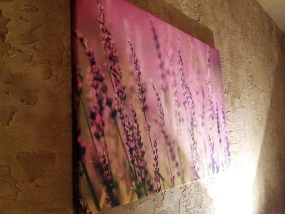 Lawendowy Hostel Krakow Luaran gambar